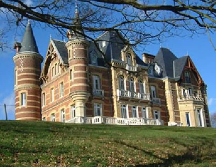 Château de la Guerche — photo 1