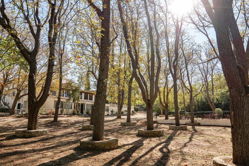 Domaine la Guérine — photo 3
