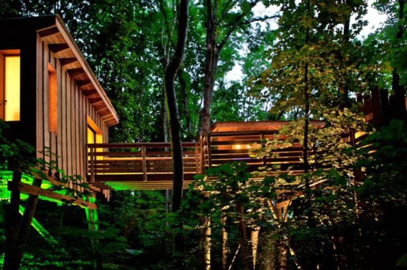 La Cabane de Lyon - Sainte Foy — photo 3