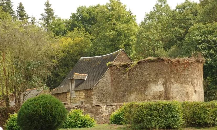 Château de Beaumanoir — photo 4