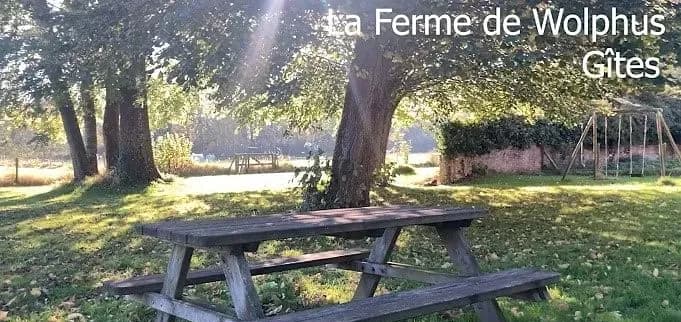 La Ferme de Wolphus - Activité Gîtes et Meublés de Tourisme - PAS DE CALAIS — photo 3