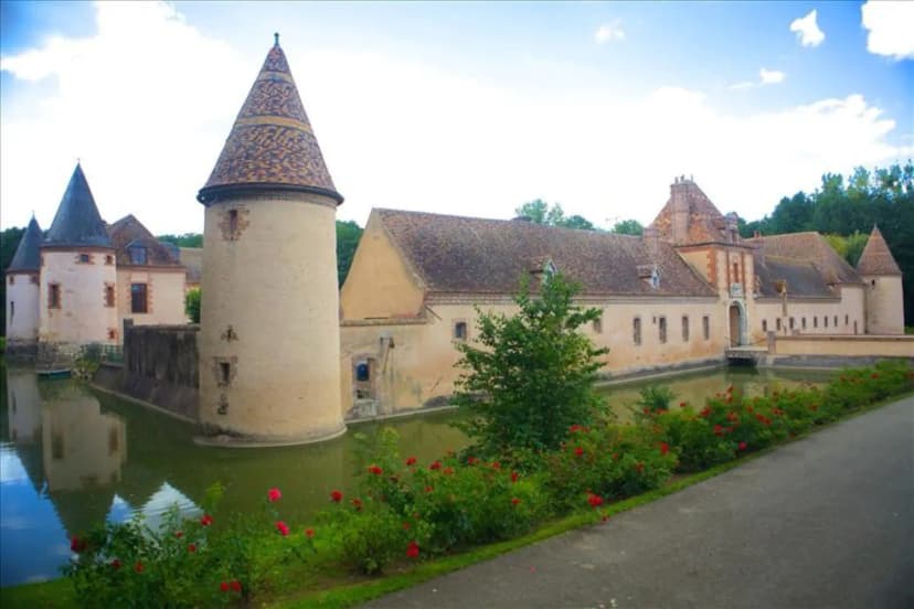CHATEAU DE CHEVILLON — photo 5