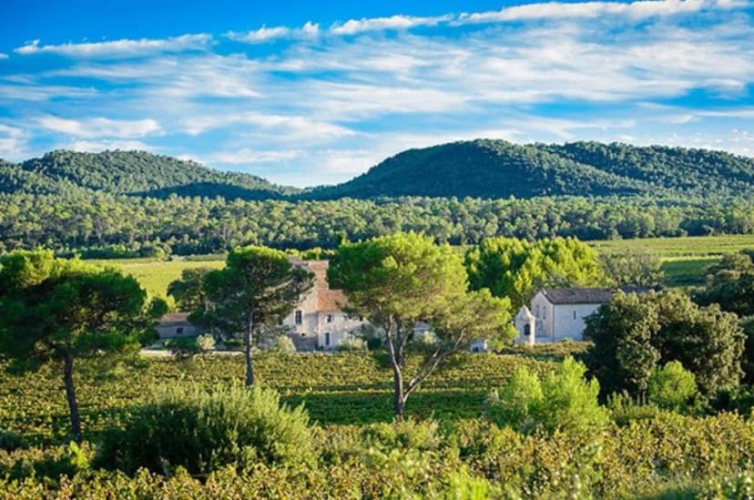 Château La Roque — photo 1