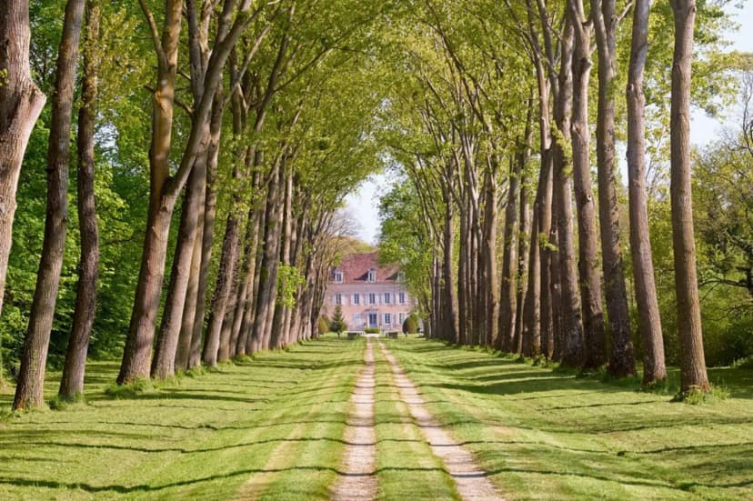 Château de Quincey — photo 3