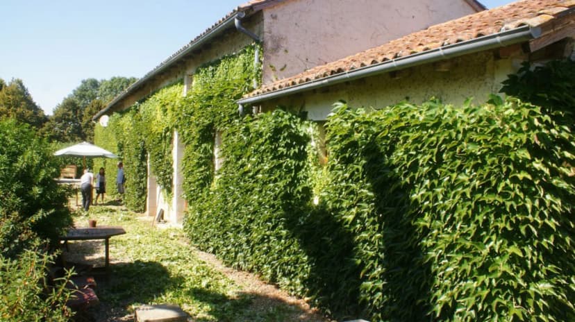 Domaine de Busseroux — photo 1