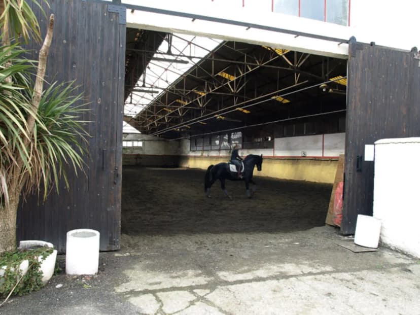 Equestrian Club De Vigoulet — photo 5