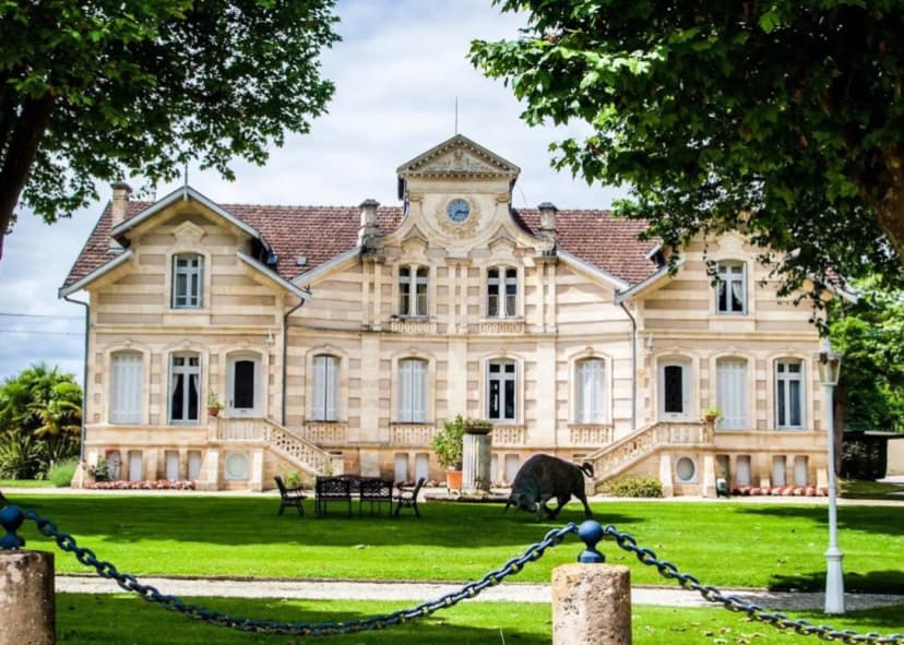 Château Maucaillou — photo 1