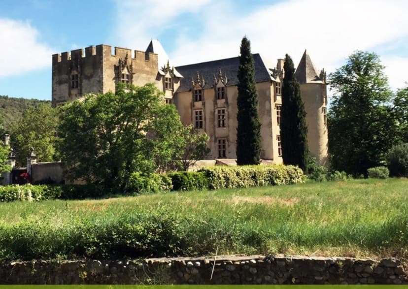 Château d'Allemagne en Provence — photo 1