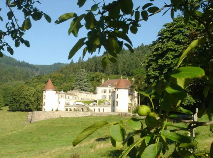 Chateau de Pramenoux — photo 1