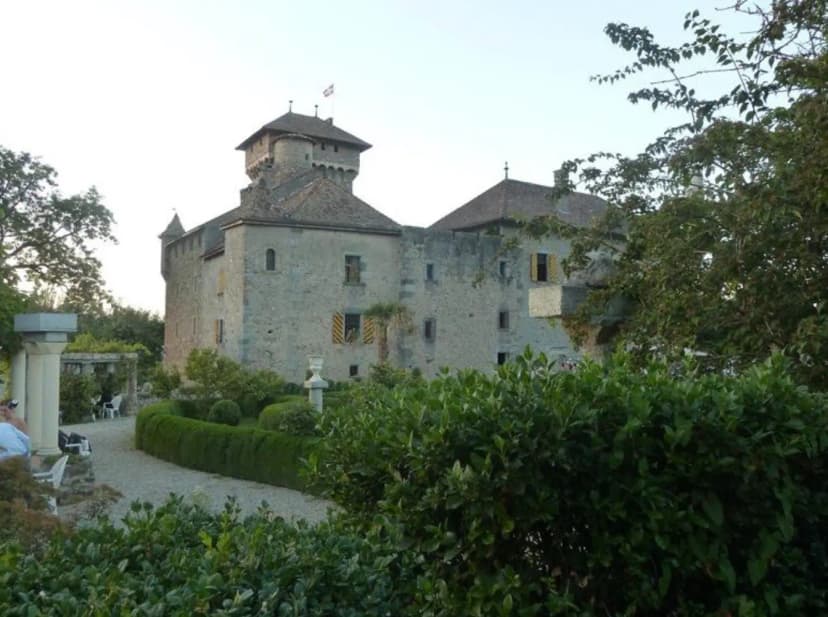 Château d'Avully — photo 4