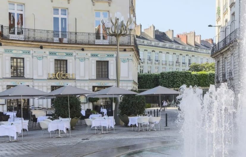 La Cigale — photo 1