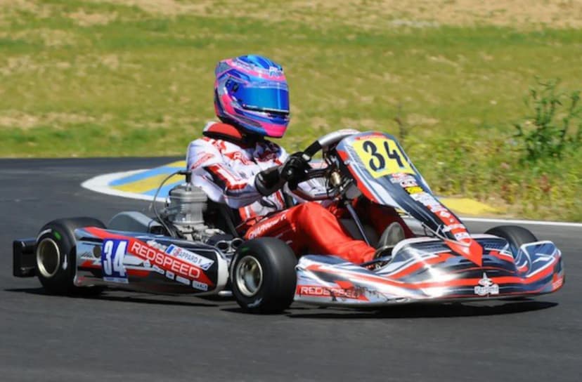 Kartland — photo 4