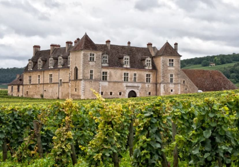 Clos de Vougeot Castle — photo 1