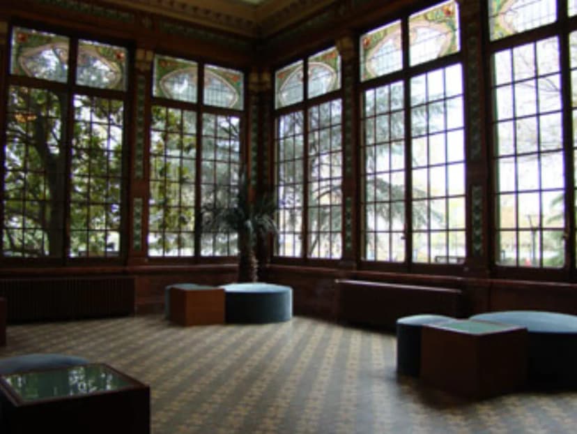Institut Lumière — photo 3