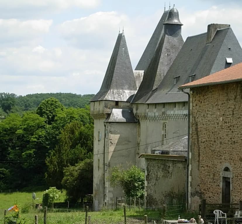 Château de Mavaleix — photo 5