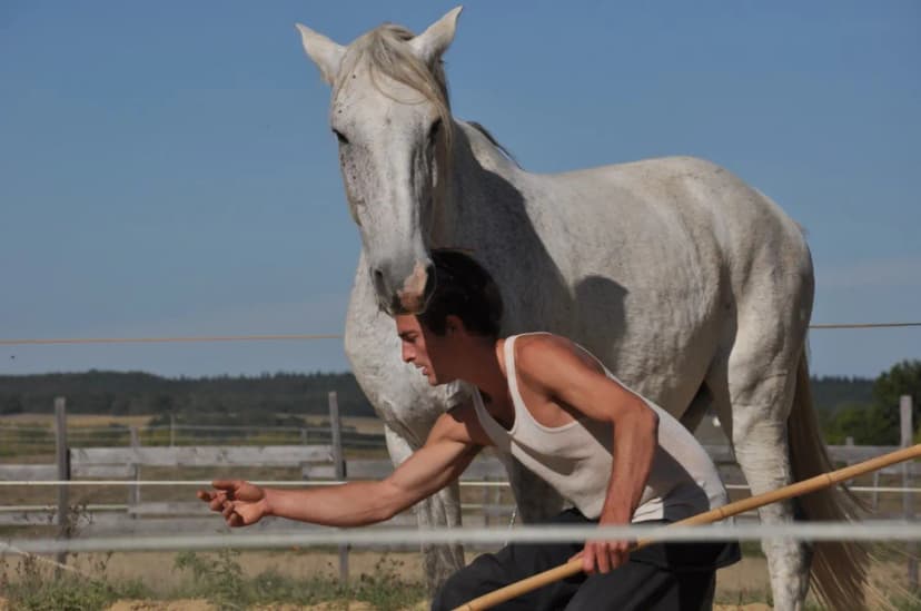 Cheval Magique - Equestrian Center — photo 2