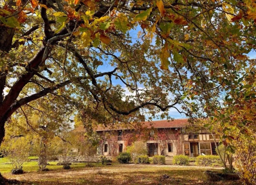 Domaine de Barthas — photo 1