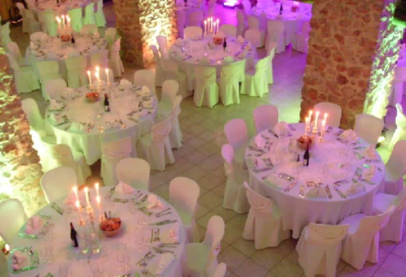 Castle Sénéguier - wedding in Provence — photo 3