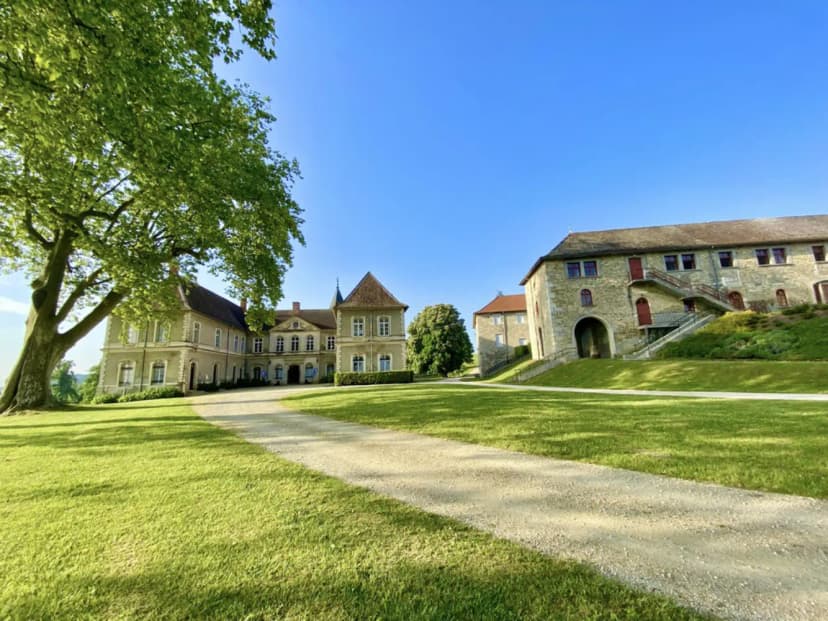 Château De Montolivet — photo 4