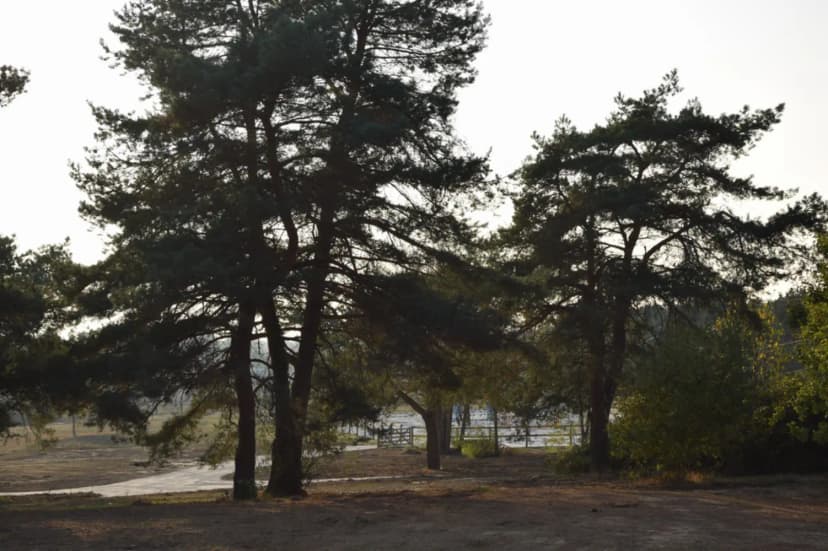 domaine du haras de Fontainebleau — photo 2