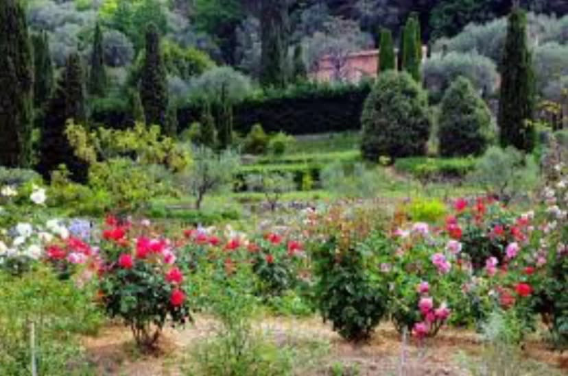 Jardins du MIP (Musée International de la Parfumerie) - Mouans-Sartoux — photo 2