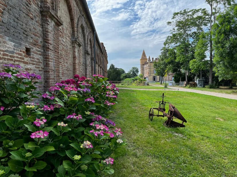 L'Orangerie Bonrepos-Riquet — photo 5