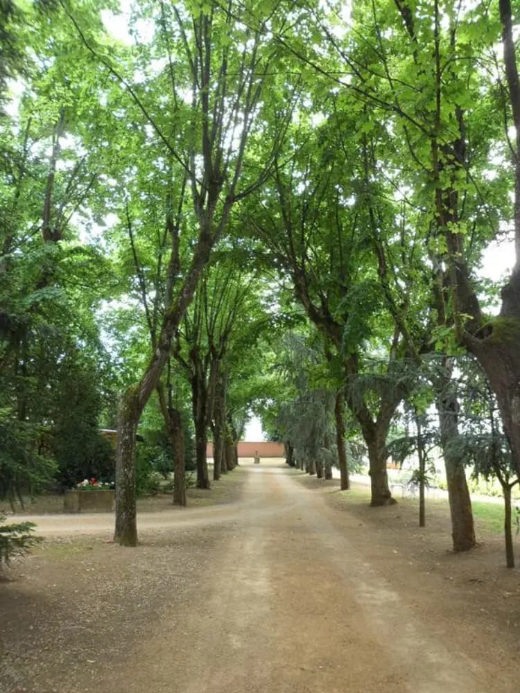 Chateau de la Chapelle des Bois — photo 3