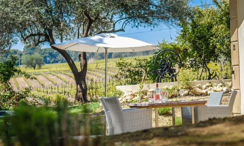Château Les Carrasses — photo 4