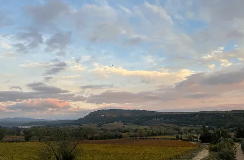 Bastide de la Mongestine — photo 5