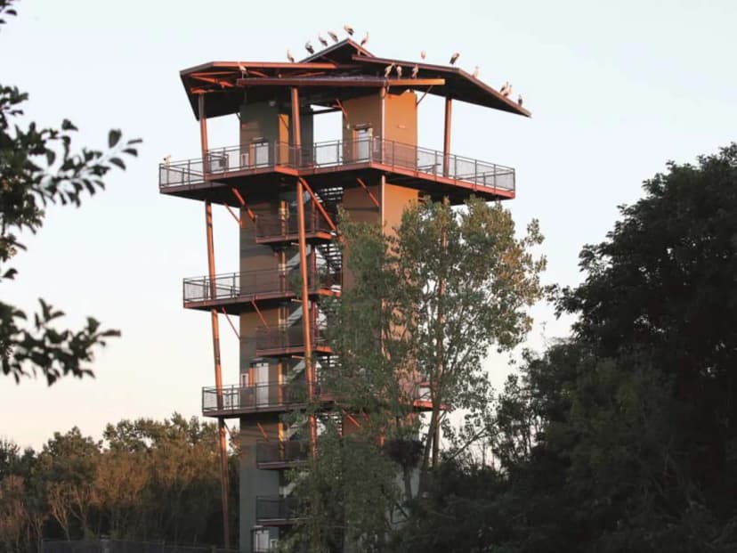 Bird park Villars les Dombes — photo 4