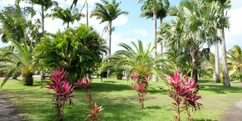 Domaine De L'oasis — photo 3