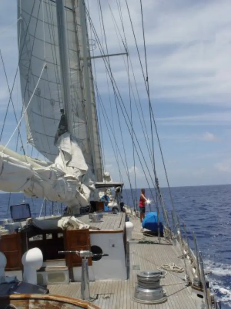 SEANERGIE NAUTIC- USHIP — photo 5