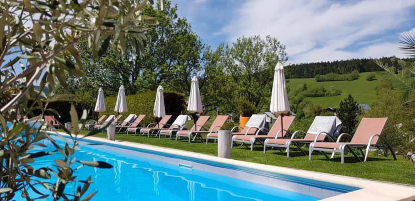 Hôtel, Restaurant & Spa Les Clarines — photo 4