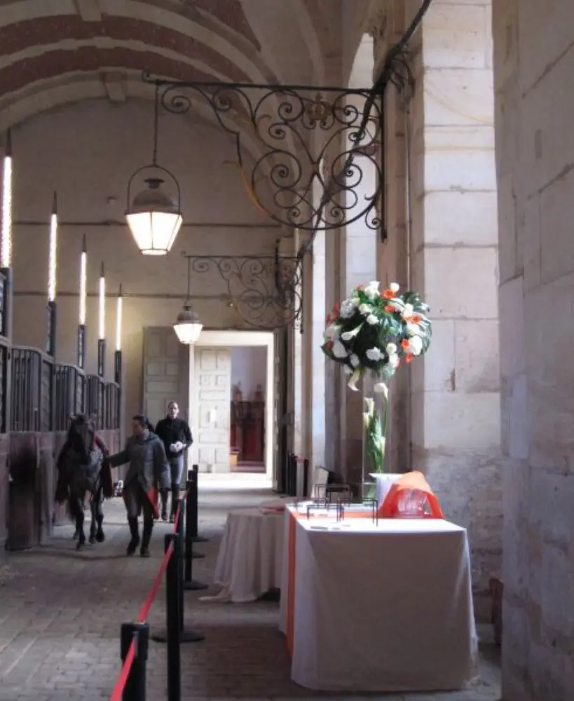 Versailles Academy of Equestrian Arts — photo 4
