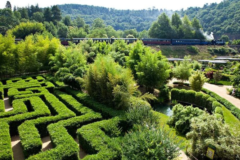The Bamboo Cevennes — photo 4