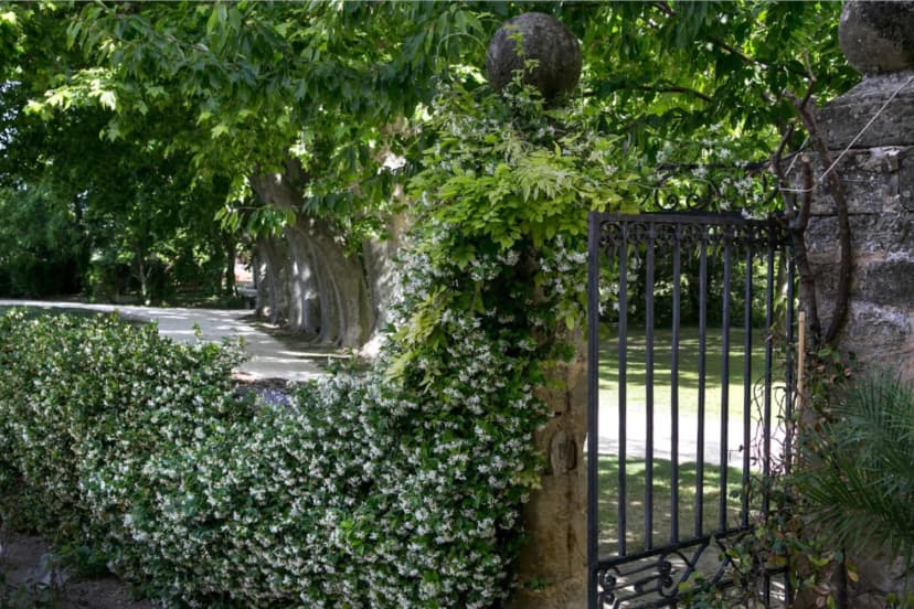 Château de Massillan — photo 5