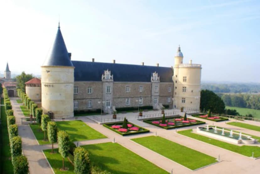Castle of Bouthéon — photo 1
