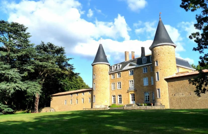 Castle of Janzé — photo 1