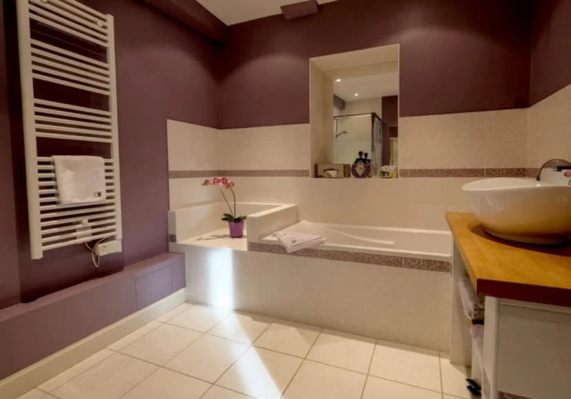 Logis Hôtel le Cheval Blanc — photo 3