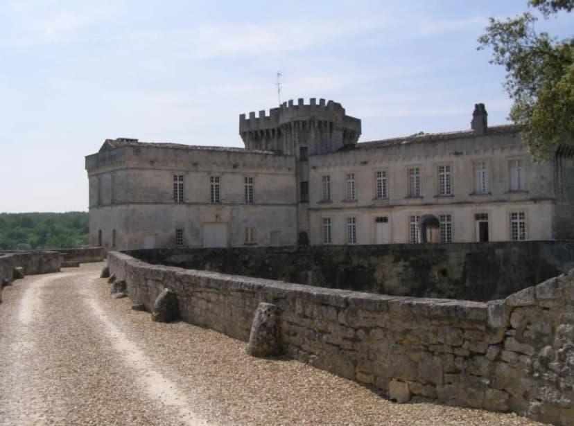 Château de la Tranchade — photo 1