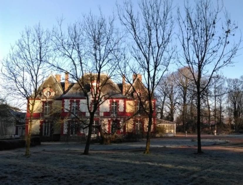 Château des Lys — photo 1