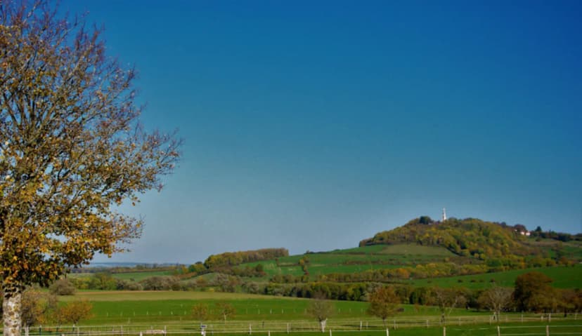 L'Ecurie Vaudémont — photo 3