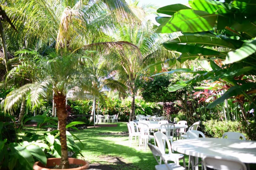 Domaine des Mille cocos — photo 3