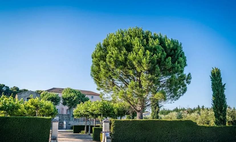 SCEA Clos Des Miran — photo 3