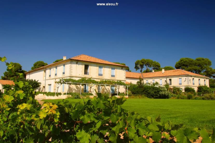 Domaine du Mas Neuf — photo 4