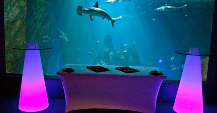 Biarritz Aquarium — photo 3