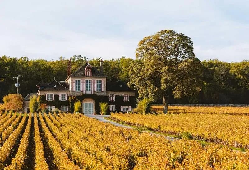 Domaine d'Ardhuy — photo 1