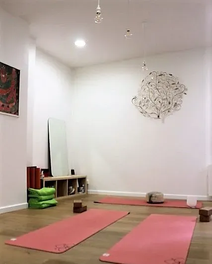 Yoga Searcher — photo 4