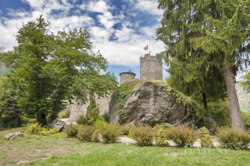 Château de Feissons sur Isère — photo 5