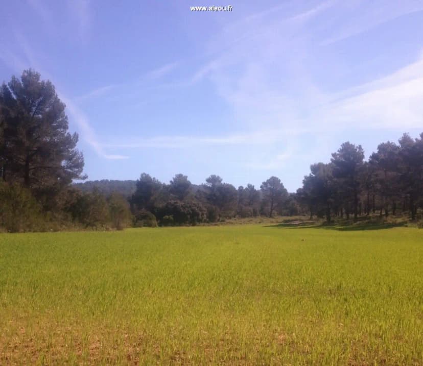 Domaine des Danjean — photo 3